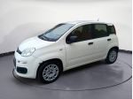 FIAT Panda 1.2 69cv E6 Easy FINO A 2 ANNI DI GARANZIA