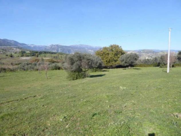 Immobile in asta di 6430 m² in vendita a Casignana - Foto 7