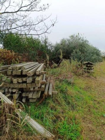 Immobile in asta di 8489 m² in vendita a Marcallo con Casone - Foto 3