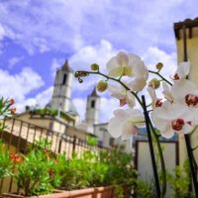 B&P Immobiliare S.r.l. - Foto 4
