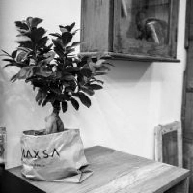 Parrucchieri Maxsa - Foto 4