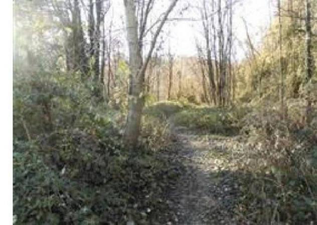 Immobile in asta di 5340 m² in vendita a Castello di Brianza - Foto 3