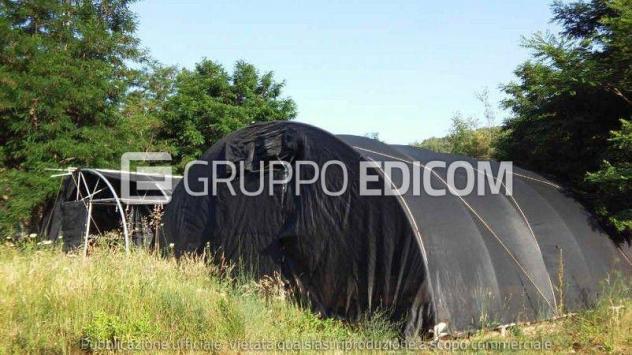 Terreno di 12040 mq in vendita a Luzzi - Rif. 4550068