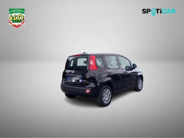 FIAT Panda 1.0 FireFly S&S Hybrid+GPL rif. 24175603 - Foto 5