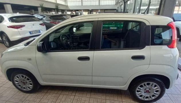 FIAT Panda 1.2 Easy rif. 23973146 - Foto 4