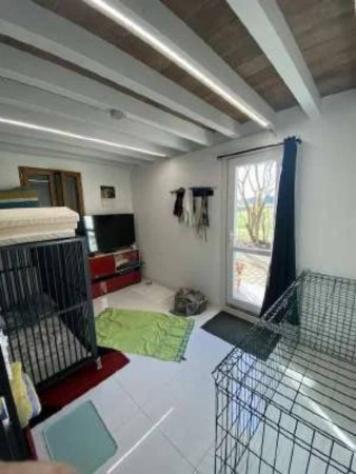 Immobile in asta di 327 m² con più di 5 locali in vendita a Reggiolo - Foto 9