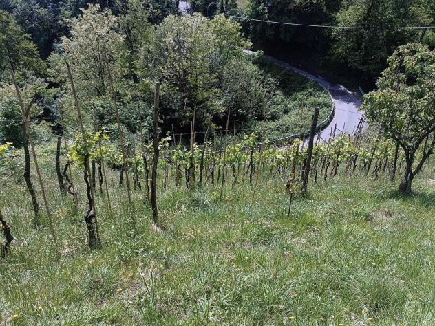 Terreno agricolo in vendita a Fontia - Carrara 3000 mq Rif: 798593 - Foto 9
