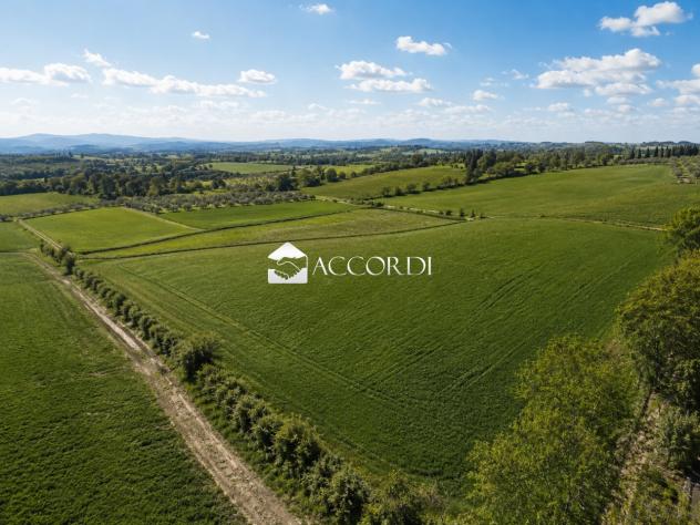 RIF.LLE6 - TERRENO AGRICOLO DI UN ETTARO PIANEGGIANTE ESTE - Foto 4