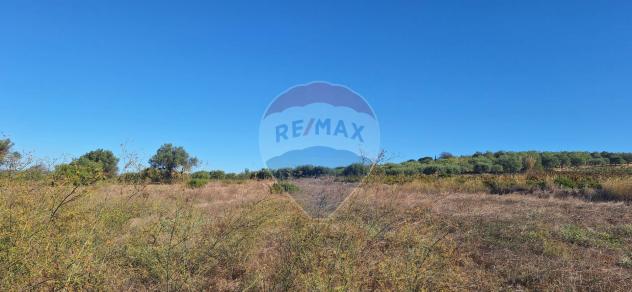 Terreno in vendita a Noto - Foto 6