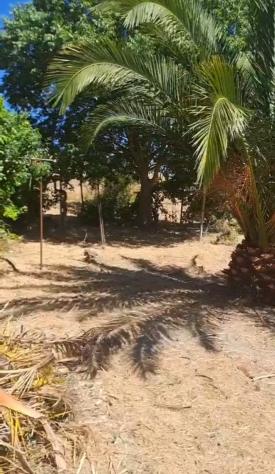 Terreno in vendita a Rosolini - Foto 12