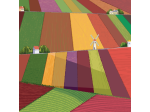 Terreno agricolo in vendita a Arena Metato - San Giuliano Terme 2000 mq  Ri &hellip;