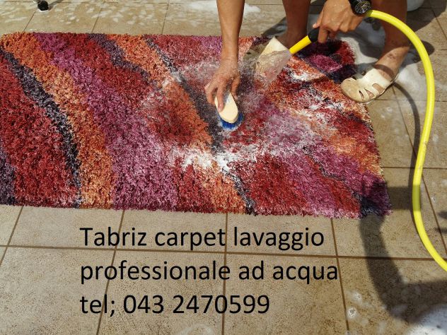Trattamento antitarme tappeti Udine, lavaggio e restauro tappeti Udine (UD) - Foto 8