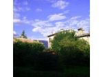 B&B Pleris