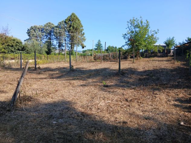 Terreno Agricolo 3000mq Arci (Tivoli)
