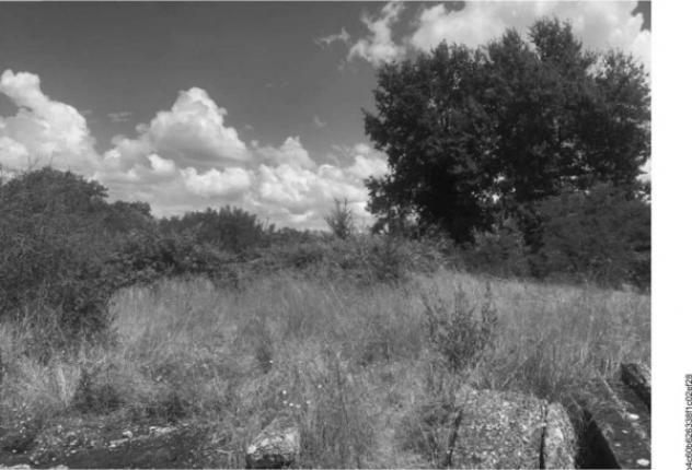 Immobile in asta di 51695 m² in vendita a Castelfiorentino - Foto 3