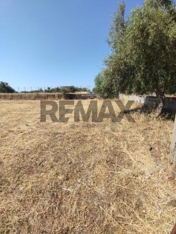 Terreno Edificabile in vendita a Motta Sant'Anastasia - Foto 3