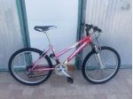 MTB Jampertreck rosa