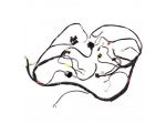Impianto elettrico Malaguti F12R 01744600