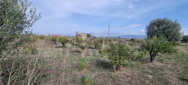 Terreno in vendita a Paternò - Foto 10