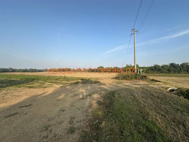TERRENO AGRICOLO 4.400MQ - Foto 17