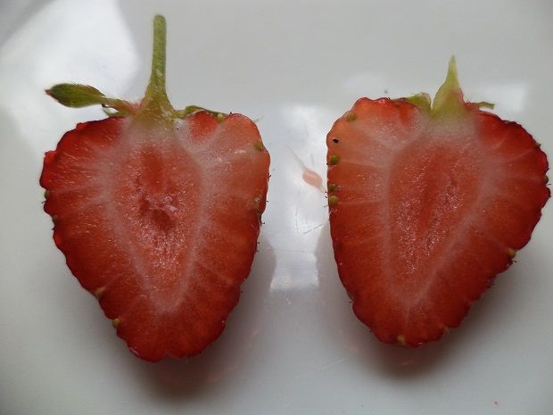 Fragola Zucchero - Foto 2