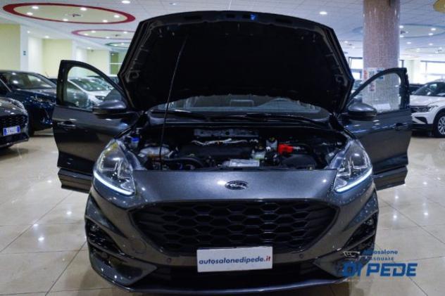 FORD Kuga 1.5 EcoBlue 120 CV 2WD ST-Line rif. 22768427 - Foto 6