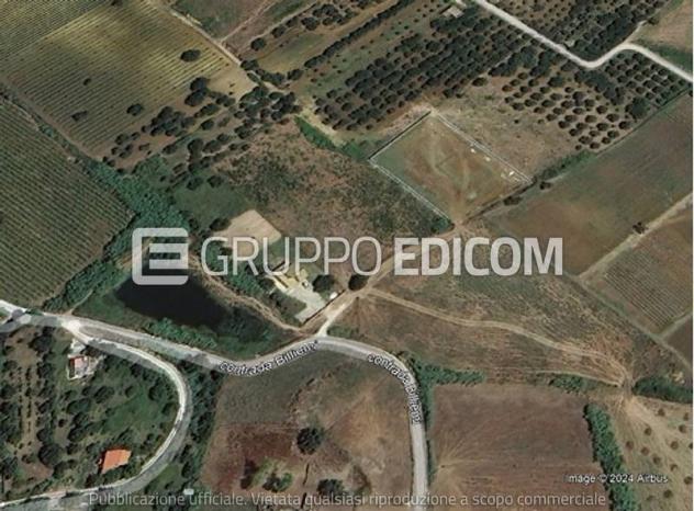 Terreno in vendita a Partinico - Rif. 4559574