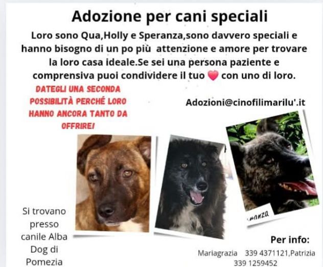ADOZIONI CASI SPECIALI - Foto 2