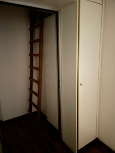 archivio - Foto 4