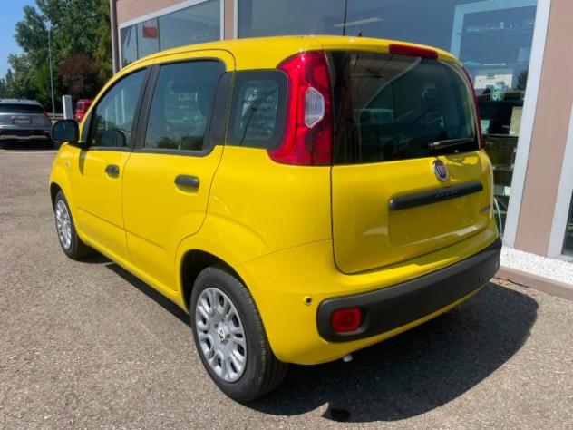 FIAT Panda 1.0 FireFly S&S Hybrid Pandina rif. 23992882 - Foto 7