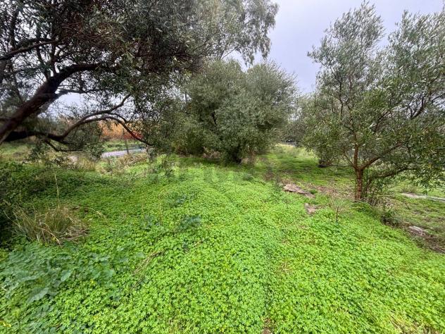 Terreno in vendita a Carlentini - Foto 8