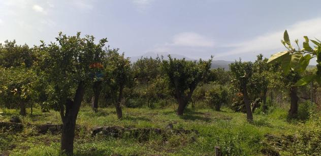 Terreno in vendita a Fiumefreddo di Sicilia - Foto 10