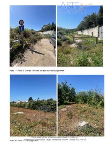 IMMOBILI-ALTRA CATEGORIA-Trav Via Guglielmo Pepe - Foto 2