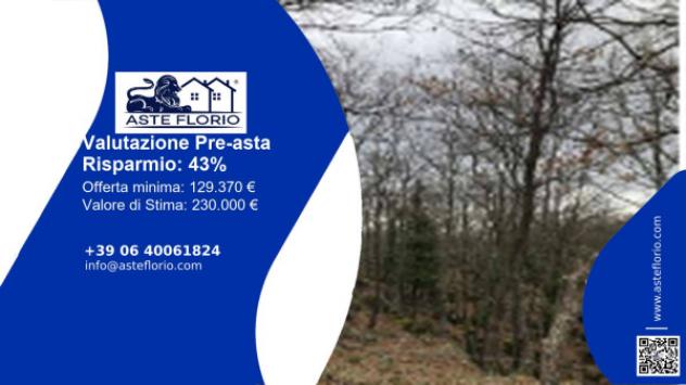 Immobile in asta di 229 m² in vendita a San Marco in Lamis - Foto 2