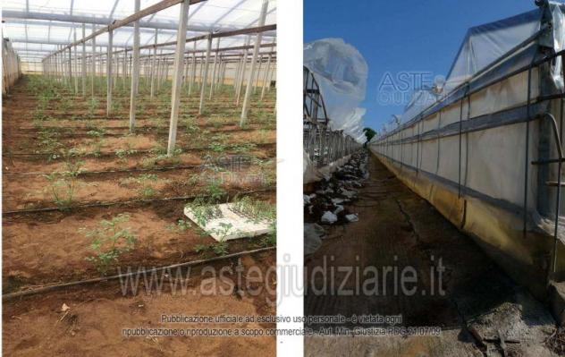 IMMOBILI-ALTRA CATEGORIA-Via Pietro Annigoni, 97018 Scicli RG, Italia - Foto 7