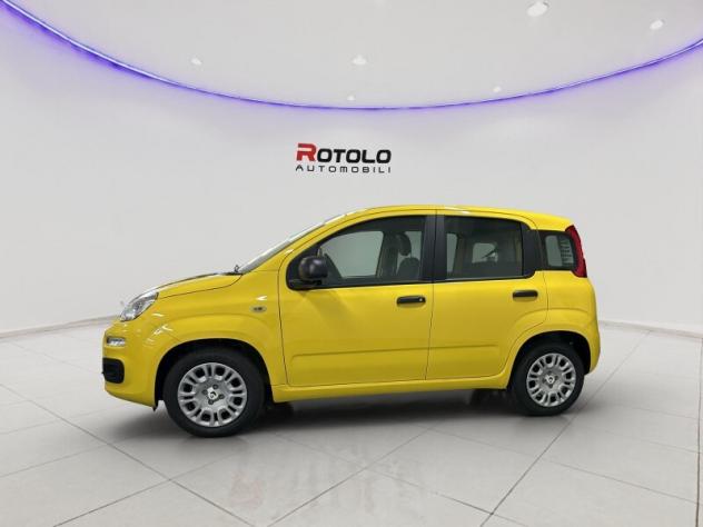 FIAT Pandina Pandina 1.0 FireFly 65 CV Hybrid Pop - Foto 2