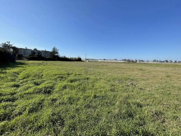 Terreno Agricolo - Terracina . Rif.: Cod. rif 3144840VCG - Foto 6