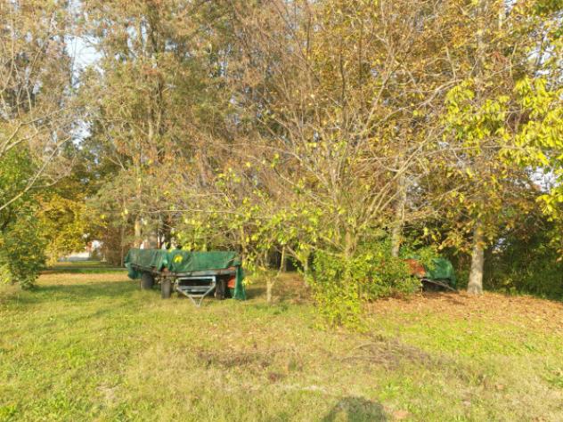 Terreno di 15000 m² in vendita a Correggio - Foto 6