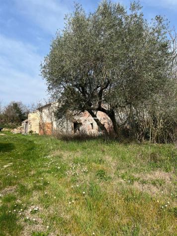 MONTEGRIDOLFO VENDESI RUDERE CON MQ. 1.222 DI TERRENO CON OLIVI