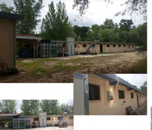 Immobile in asta di 296 m² con più di 5 locali in vendita a Collazzone - Foto 2