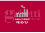 Capannone Industriale - Camisano Vicentino . Rif.: Cod. rif 3316410VCG