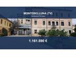 Immobile in asta di 16691 m² in vendita a Montebelluna