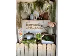 Noleggio decorazioni matrimonio Allestimenti