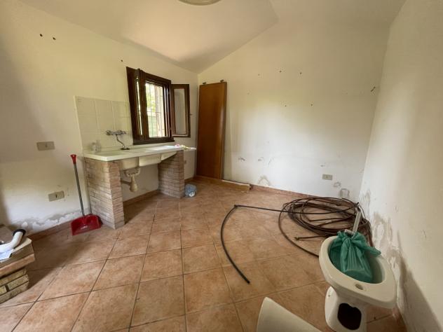 Uliveto in vendita a Casale Marittimo - Foto 4