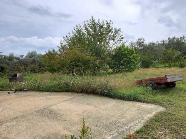 Uliveto in vendita a Siracusa - Foto 2