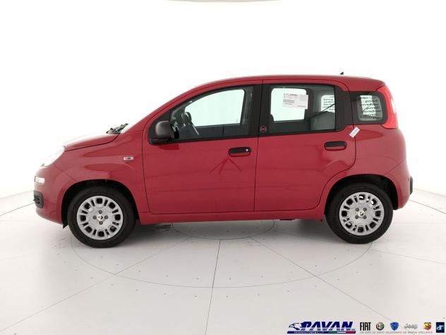 FIAT Pandina 1.0 FireFly 65 CV Hybrid Pop - Foto 6