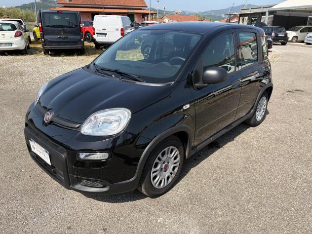 FIAT Panda 1.0 FireFly S&S Hybrid - Foto 4