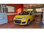 FIAT Pandina Pandina 1.0 FireFly 65 CV Hybrid Pop