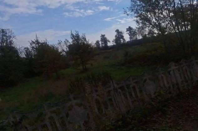 Immobile in asta di 3054 m² in vendita a Frossasco - Foto 2