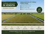 Seminativo in vendita a Giacciano con Baruchella